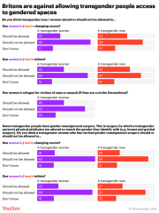 Gender and pronouns