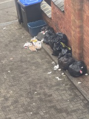To despise my neighbours.