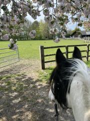 Adult new or returning riders part 2