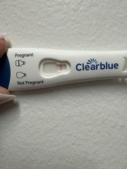 So this was this morning. Clear blue red dye.