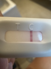 Clear blue test. Evap line or positive