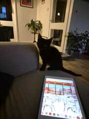 How to make my flat feel like home on a budget