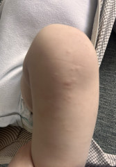 Any idea what this is?