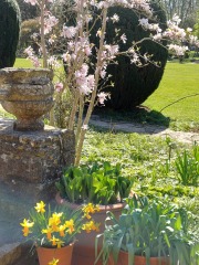 Which gardens do you like to visit to get inspiration?