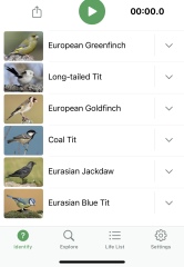 Garden birds today according to my Merlin app