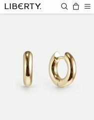 Earrings that can be worn all the time, even in the shower?