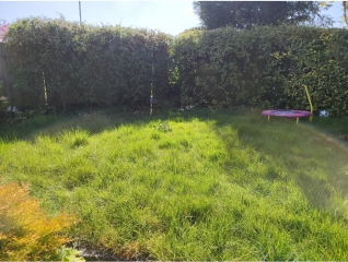 Will I regret a naked fence?