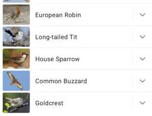 Garden birds today according to my Merlin app