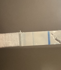 Faint positive or evap line clear blue?