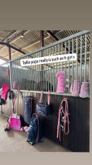 How many rugs does your horse have in their wardrobe?