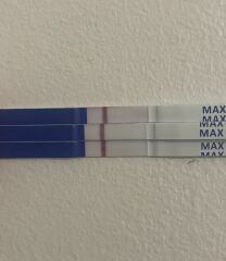 May 2025 TTC Support Group