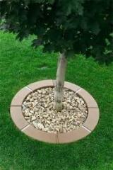 How to decorate the base of my apple tree