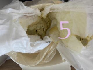 Weird poo and tummy problems (WARNING PICTURES)