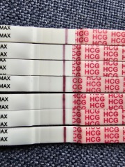 Pregnancy test (positive or negative)