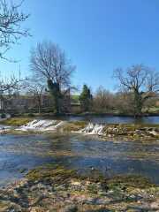 Mounjuro Auggies Thread 13