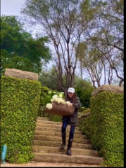 Confessions of a Female Founder fails  to chart this week