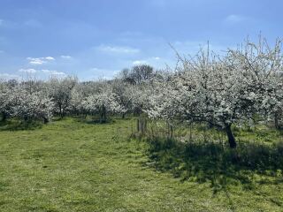The Year Round Nigel Slater Discussion thread