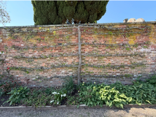 The Year Round Nigel Slater Discussion thread