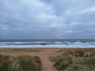 The Year Round Nigel Slater Discussion thread