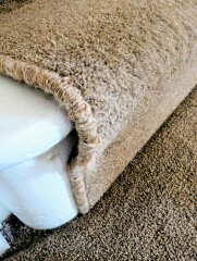 Hymns in Minor Keys & the Russian Easter Overture - the Excellent Cats ignore Culture.....