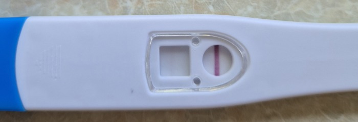 April 2025 TTC Support Group