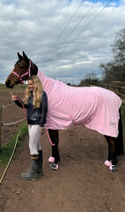 How many rugs does your horse have in their wardrobe?