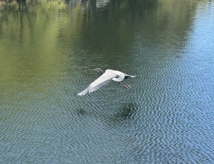 Come and tell us your dull and unexciting news 33: Calmly through the day