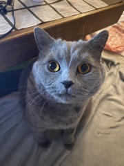 Thread 17 - TalkLair: "Okay, first of all, what's with the outfit? Live in the now, okay? You look like DeBarge."