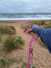 The Year Round Nigel Slater Discussion thread