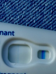 VVFL - Am I pregnant?