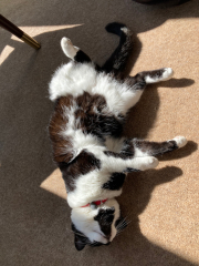 Thread 17 - TalkLair: "Okay, first of all, what's with the outfit? Live in the now, okay? You look like DeBarge."