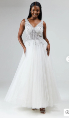 What do you think of these wedding dresses?