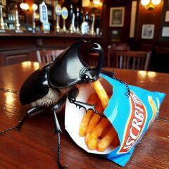 The Bluestocking Arms Women's Pub, where women make friends with Beetles, Androids, Cakes, Dragons, Hedgehogs and other women, where wit and wisdom flourish