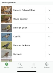 Garden birds today according to my Merlin app