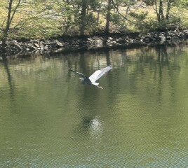 Come and tell us your dull and unexciting news 33: Calmly through the day