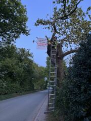 Runcorn helsby bi election - who to vote for to keep reform out