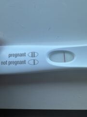FRER 8DPO