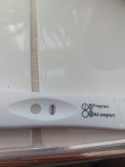 Pregnant or not?