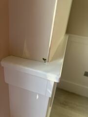 Discovered this growing inside our living room!