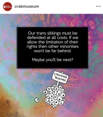 Thackray Museum statement on SC ruling