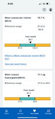 Is this low iron (test results)