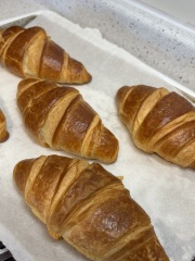 Come and tell us your dull and unexciting news 33: Calmly through the day