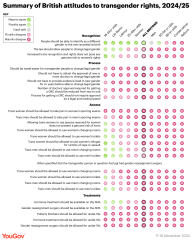 Gender and pronouns