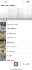 Garden birds today according to my Merlin app