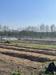 The Year Round Nigel Slater Discussion thread