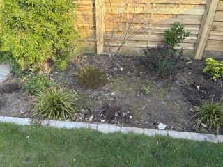 Please tell me how to arrange my border!