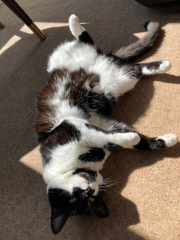 Thread 17 - TalkLair: "Okay, first of all, what's with the outfit? Live in the now, okay? You look like DeBarge."