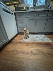 Come and tell us your dull and unexciting news 33: Calmly through the day