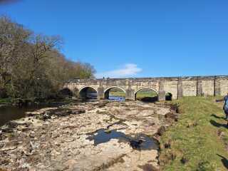 Mounjuro Auggies Thread 13