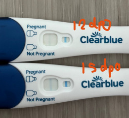 Due January 2026 ✨
